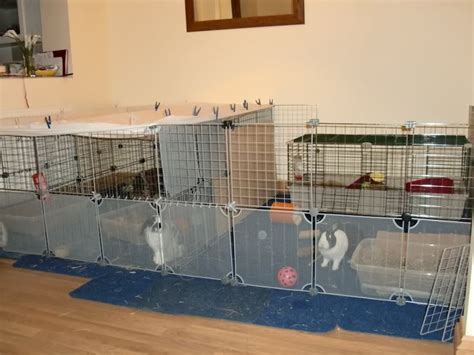 Indoor Housing Tips And Examples Rabbits United Forum Diy Rabbit Cage