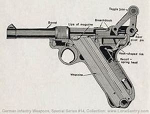 THE LUGER PISTOL A CONQUEROR OF TWO WORLD WARS Ditsong Museums Of