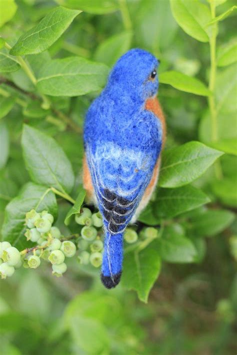 Made To Order Needle Felted Male Eastern Bluebird Life Size Etsy