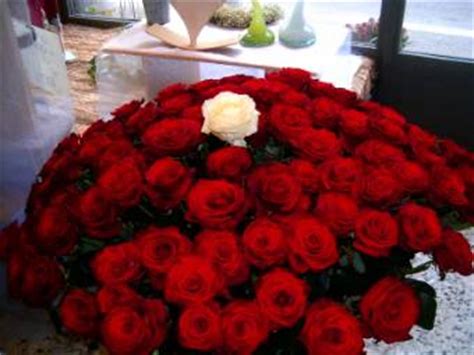 50 rose rosse regalare cinquanta rose rosse per lasciare un ricordo . phone: OFFERTISSIMA !!! 100 rose rosse a gambo lungo extra! - Passionflower di Pintonello Pamela ...