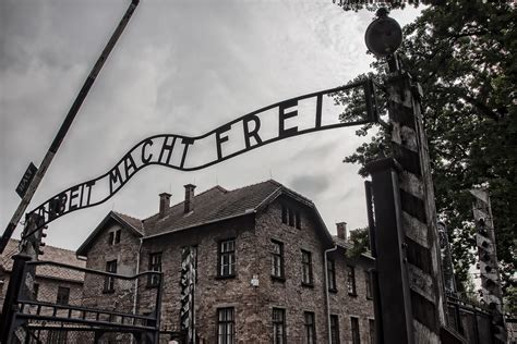 Archives Uncover Forgotten Names of Auschwitz Inmates | Courthouse News