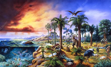 Artwork Depicting The Evolution Of Life Stock Image