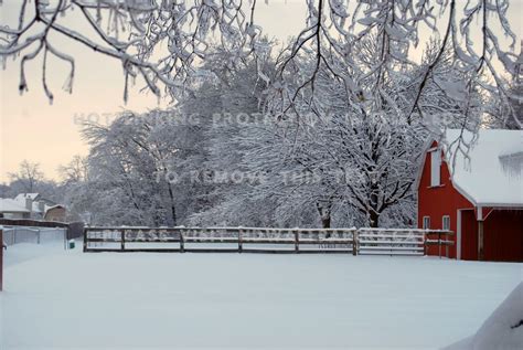 Winter White Barn Fence Snow Covered Trees Hd Wallpaper
