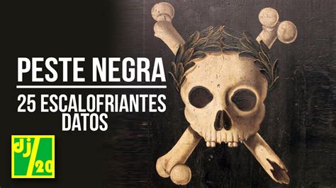 La peste bubónica o peste negra. La Peste Negra: 25 ESCALOFRIANTES datos - YouTube