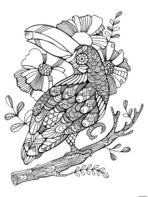 Coloriage Oiseau Mandala Toucan Zentangle Adulte Dessin Oiseau à Imprimer