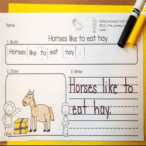 50 Fun Horse Facts For Kids Little Learning Corner
