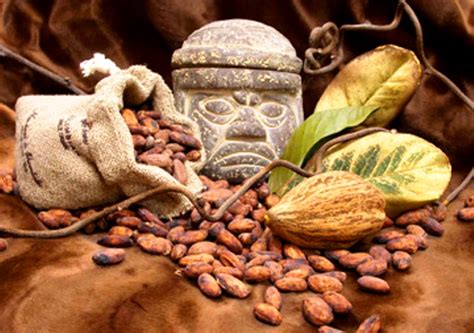 Los Mayas Asociaron Al Cacao Con El Inframundo Unam Global