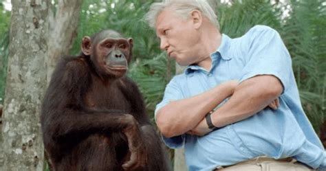 David Attenborough Netflix Series Our Planet Is Here With All New Footage