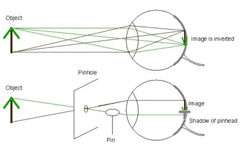 How Do Optical Illusions Work Eye Science The Eye News