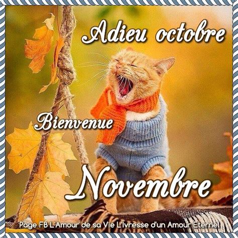 13 Novembre Images Photos Et Illustrations Pour Facebook Bonnesimages