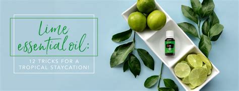 Lime Essential Oil Uses Young Living Blog