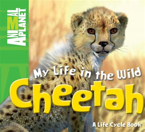 Cheetah Life Cycle