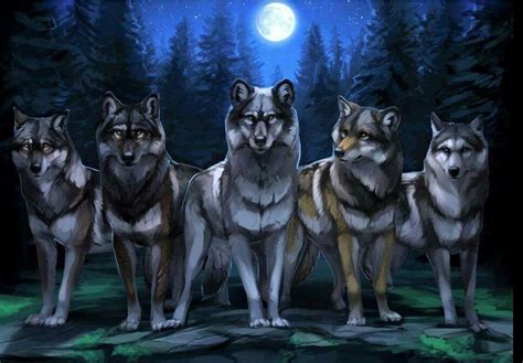Wild Deku Camping Gone Wrong Wolf Spirit Animal Anime Wolf Drawing