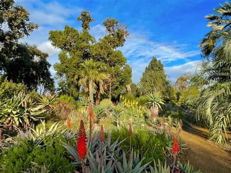 14 Bay Area Gardens To Visit In And Around San Francisco California
