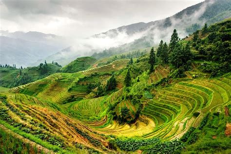 Most Beautiful Terraced Rice Fields The Wow Style