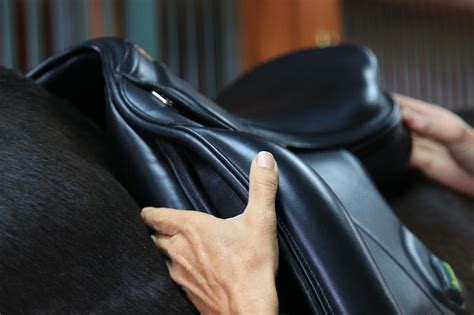 Saddle Up Considerations For Saddling Your Horse