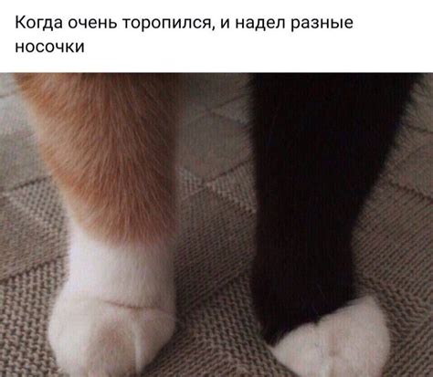 Russian Memes United On Twitter When You Were In A Hurry And Put On Different Socks