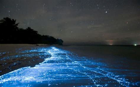 16 Spellbinding Light Phenomena From Across The Planet Romantic