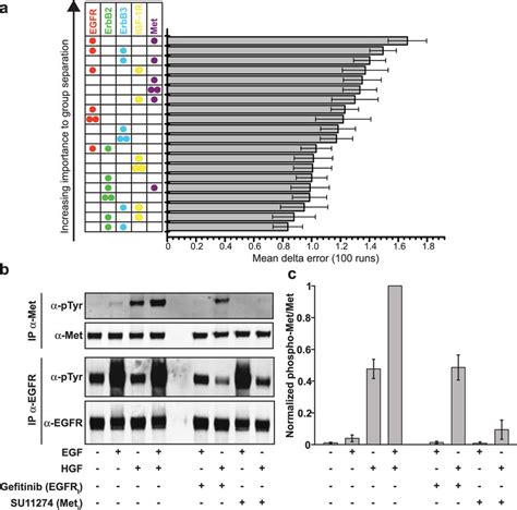 Random Forest And Biochemical Analysis Detect Cross Stimulation Of Met Download Scientific