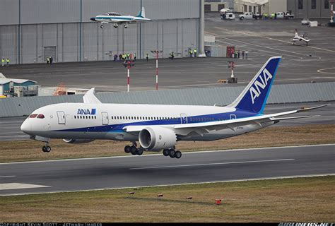 Boeing 787 8 Dreamliner All Nippon Airways Ana Aviation Photo