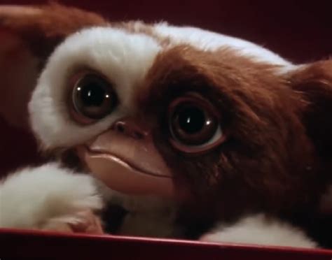 Gizmo Is Returning In ‘gremlins Prequel B104 Wbwn Fm