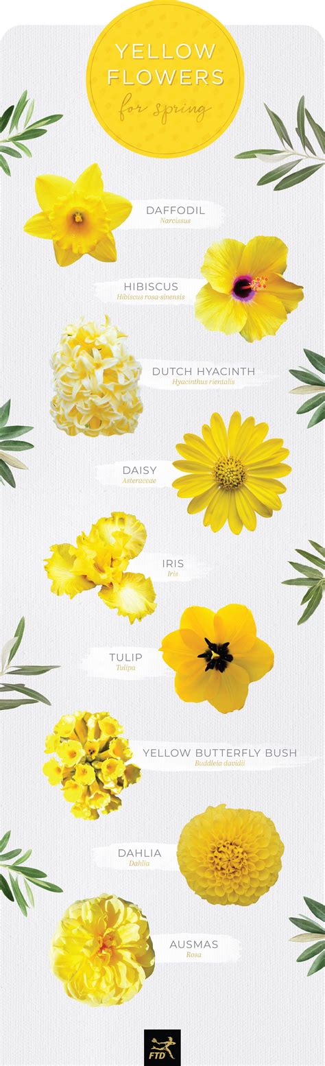 30 Types Of Yellow Flowers In 2020 Yellow Spring Flowers