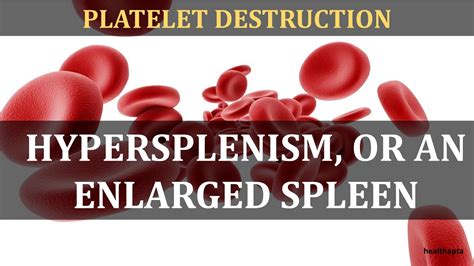 Causes Of Low Platelet Count Youtube