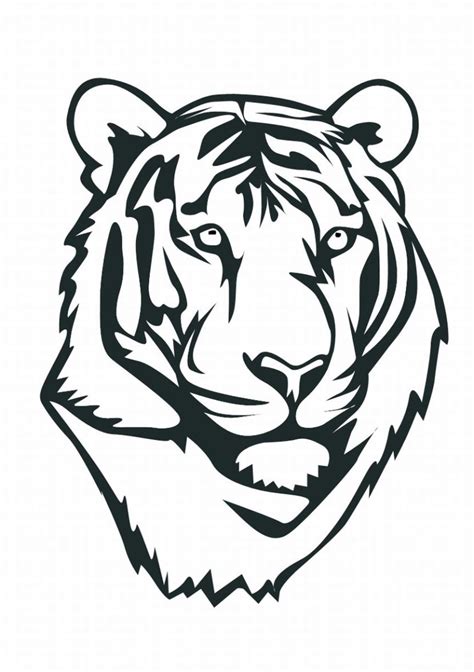 Tiger Sketch Drawing At Explore Collection Of