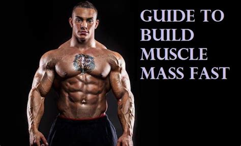 Muscle Palace The Bodybuilding Guide To Build Muscle Mass Fast