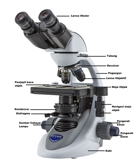 Jenis Jenis Mikroskop Yang Dibutuhkan Laboratorium