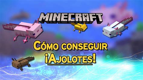 Minecraft Cómo Conseguir Ajolotes Y Domesticarlos Fácilmente