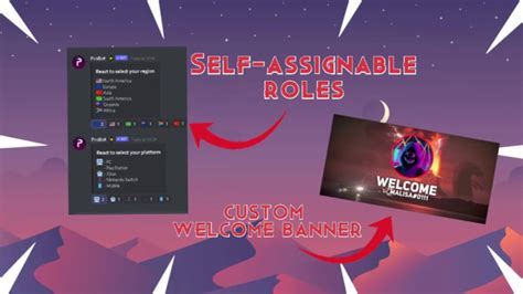 Create Your Discord Server By Malimalisaaaa Fiverr