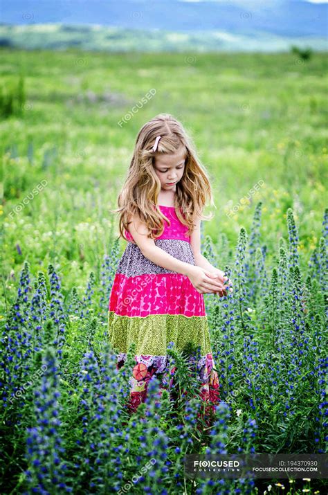Blond Girl Picking Flowers In Meadow — Full Length 6 7 Years Stock