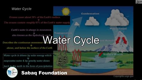 Water Cycle Biology Lecture Sabaqpk Youtube