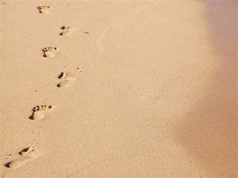 Free Footprints In The Sand Stock Photo