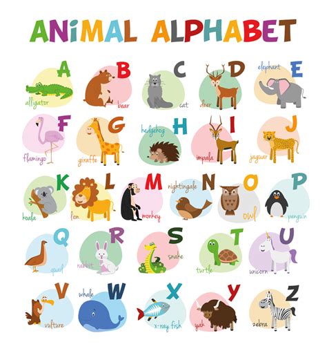 Buy Animal Alphabet Chart Alphabets And Numbers Wall Sticker Paper