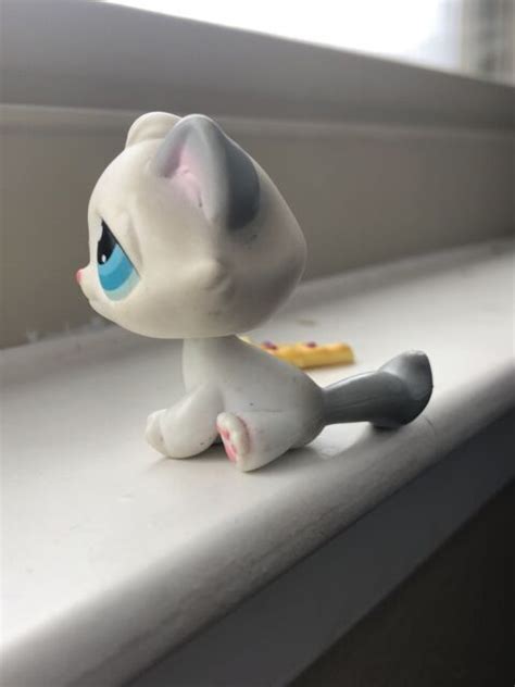 Littlest Pet Shop Tabby Cat 53 Grey Gray And White Bright Blue Eyes Ebay