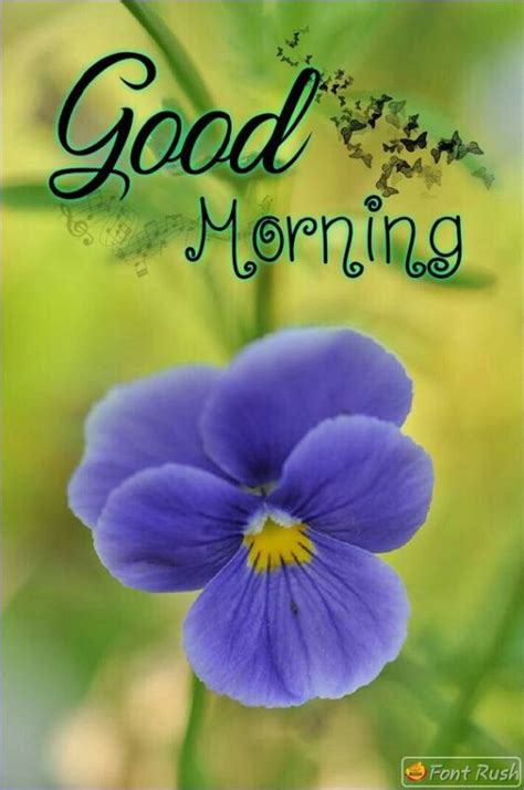 Wonderful Good Morning Blue Flower Good Morning Pictures