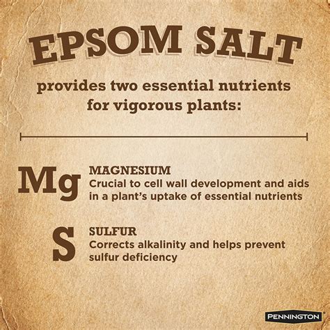 Epsom Salt Plant Fertilizer Pennington