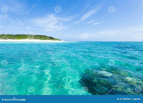 Deserted Tropical Island Beach Clear Blue Water Stock Photo Image Of