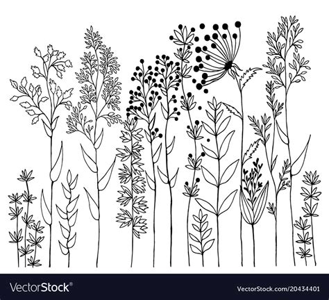 Hand Drawn Of Design Wildflowers Floral Royalty Free Vector