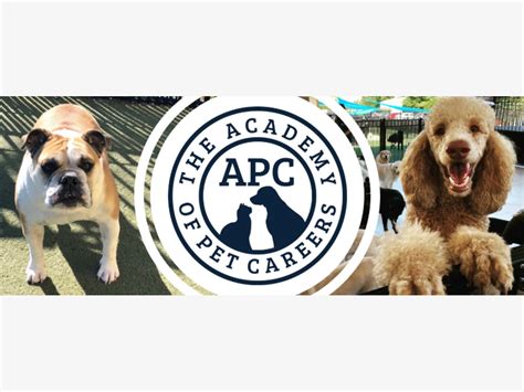 The Academy Of Pet Careers Chesterfield Mo Business Directory