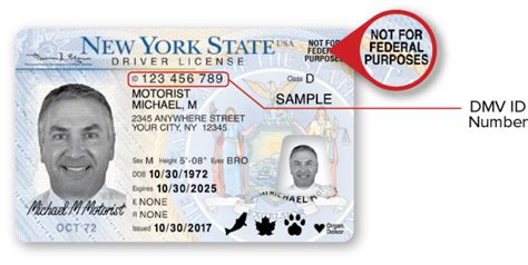 New York Drivers License Name Format