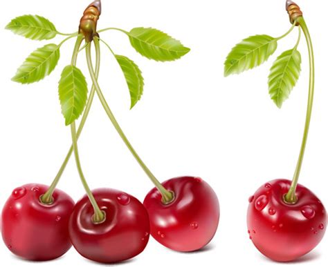 Free Free 333 Home Berries Svg SVG PNG EPS DXF File