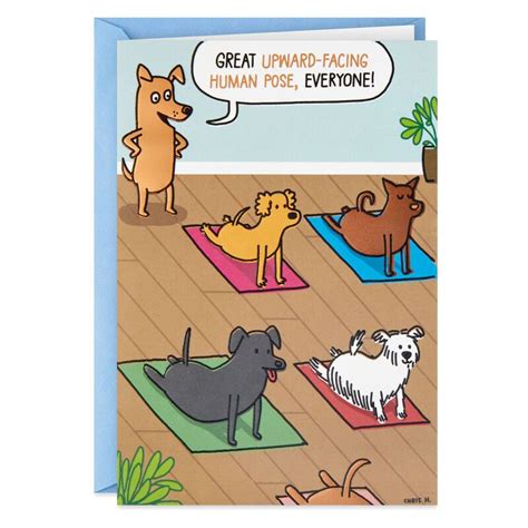 Dogs Doing Yoga Poses Funny Birthday Card Funny Birthday Cards