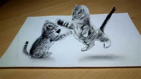 Cute Cat Drawing 3d Anamorphic Illusion Youtube