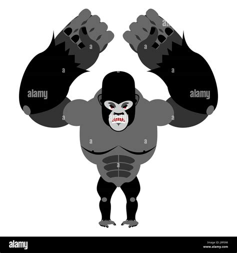 Gorila Furioso Sobre Sus Patas Traseras Monos Agresivos Sobre Fondo