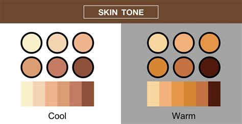 Skin Tone Color Palette Set Vector Design 7034739 Vector Art At Vecteezy