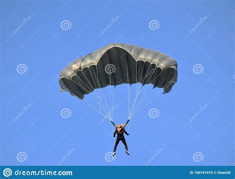 Paratroopers A Parachute Jump Stock Photo Image Of Flight Pride