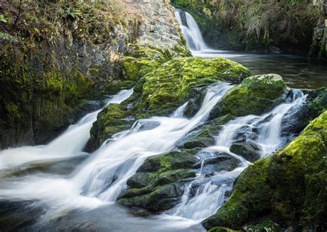 Free Picture Nature Water Landscape River Stream Waterfall Wood